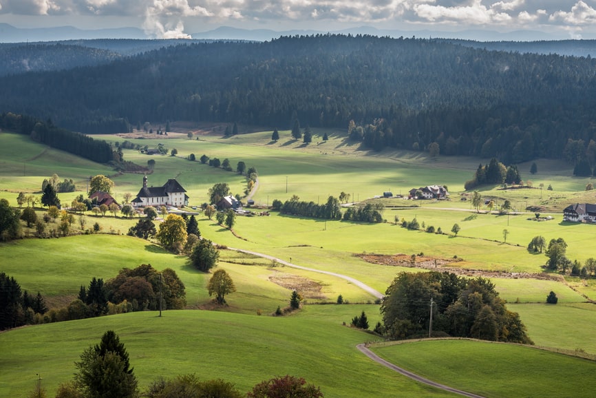 Wiesen, Weiden und Wälder