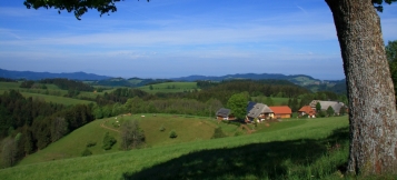 Grundstück an Bauträger verkaufen